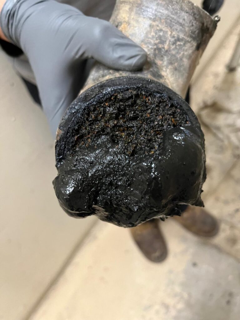 Img 20251031 Wa0031 Img 20251031 Wa0031