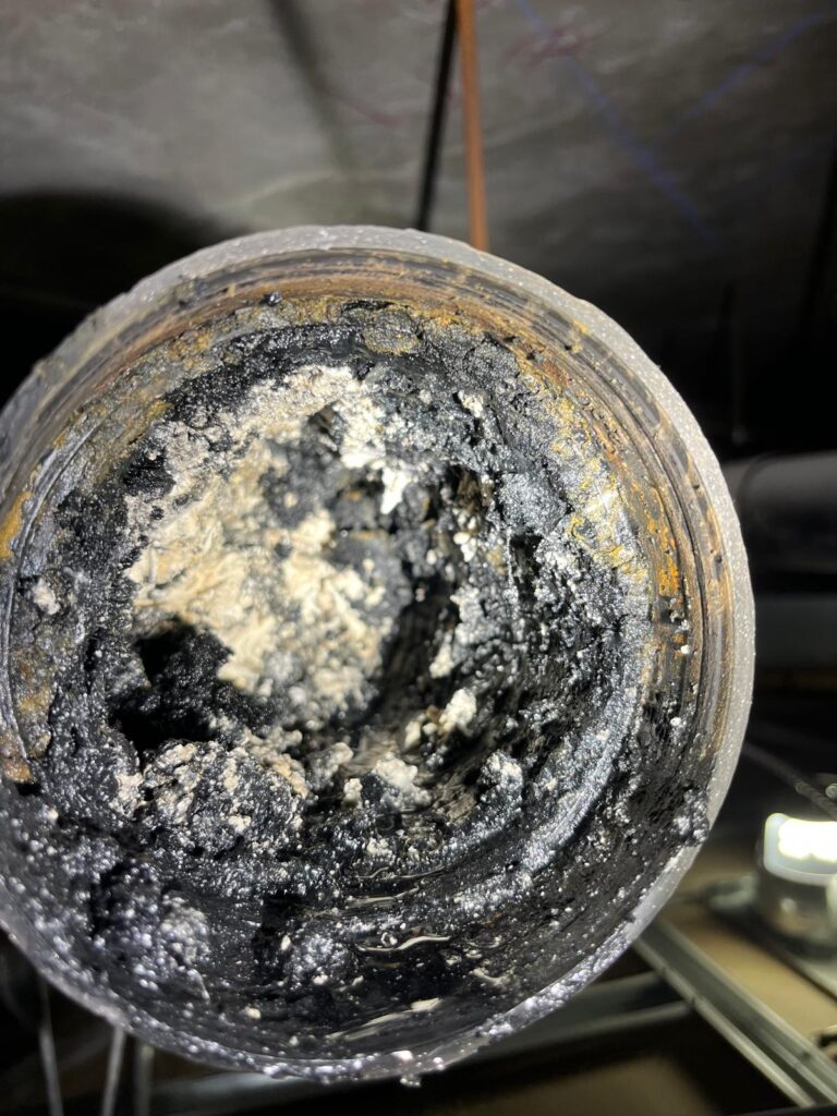 Img 20251031 Wa0048 Img 20251031 Wa0048