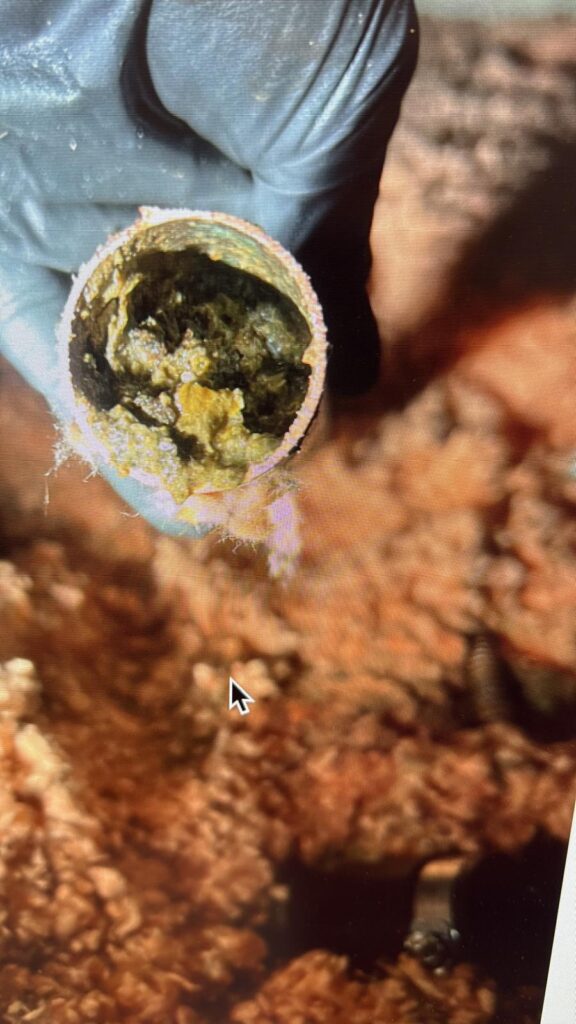 Img 20251031 Wa0063 Img 20251031 Wa0063