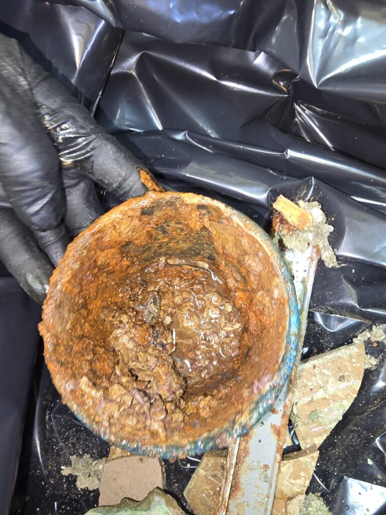 Img 20251031 Wa0068 Img 20251031 Wa0068