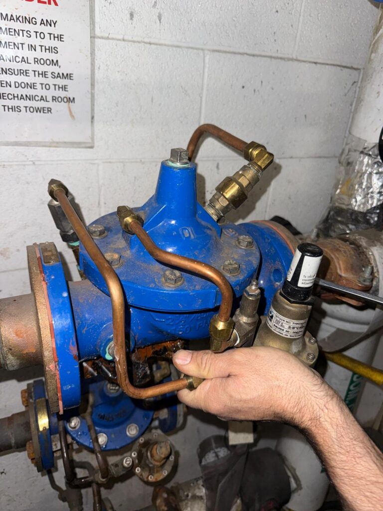 Img 20251031 Wa0071 Img 20251031 Wa0071